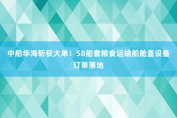 中船华海斩获大单！58船套粮食运输船舱盖设备订单落地