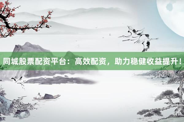 同城股票配资平台：高效配资，助力稳健收益提升！