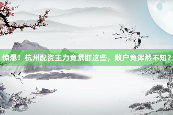 惊爆！杭州配资主力竟紧盯这些，散户竟浑然不知？