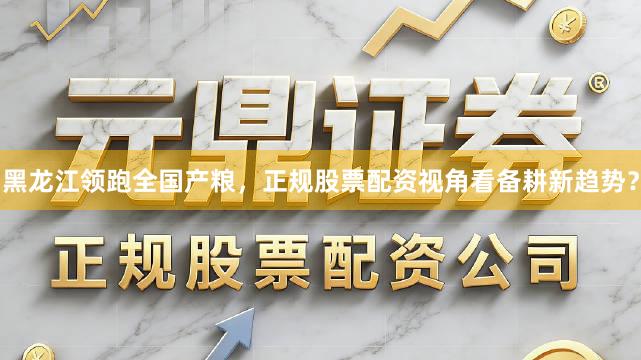 黑龙江领跑全国产粮,正规股票配资视角看备耕新趋势?