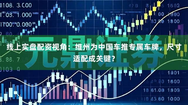线上实盘配资视角：维州为中国车推专属车牌，尺寸适配成关键？
