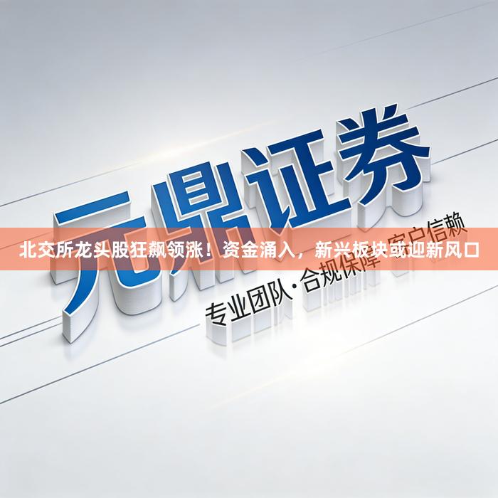 北交所龙头股狂飙领涨！资金涌入，新兴板块或迎新风口