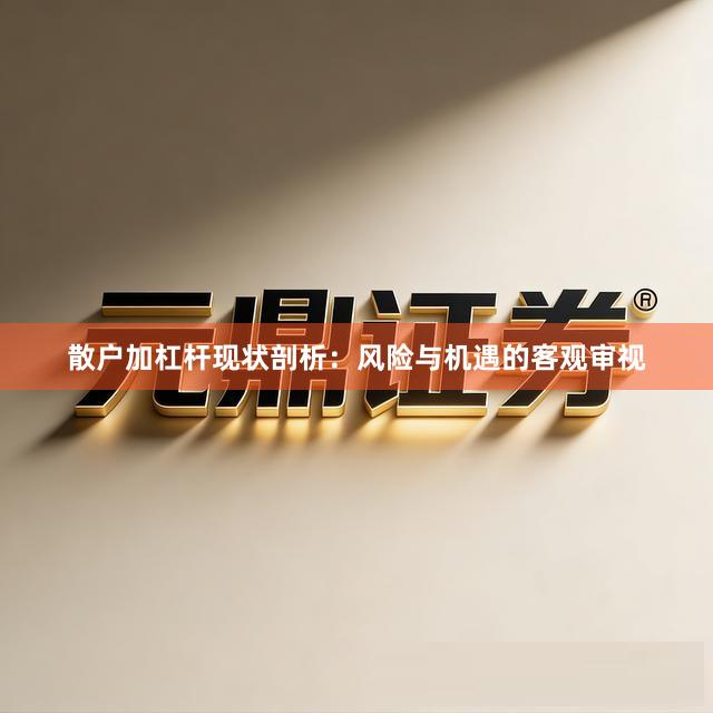 散户加杠杆现状剖析:风险与机遇的客观审视