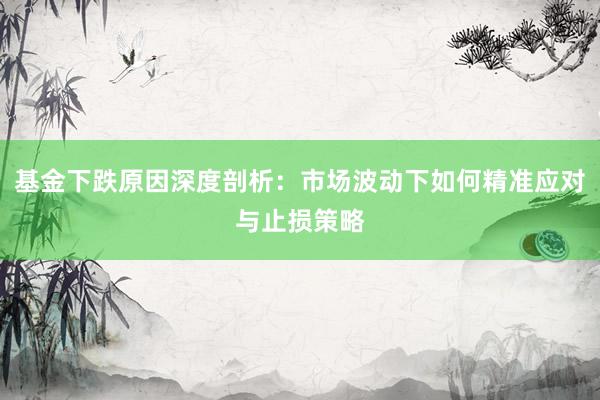 基金下跌原因深度剖析：市场波动下如何精准应对与止损策略