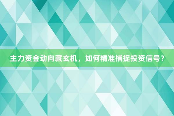 主力资金动向藏玄机，如何精准捕捉投资信号？