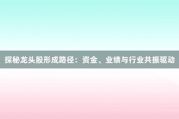 探秘龙头股形成路径：资金、业绩与行业共振驱动