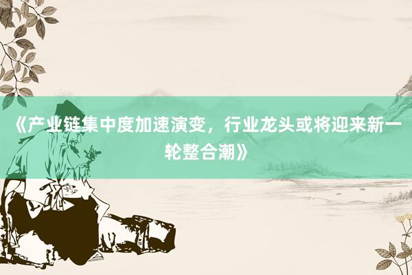 《产业链集中度加速演变，行业龙头或将迎来新一轮整合潮》