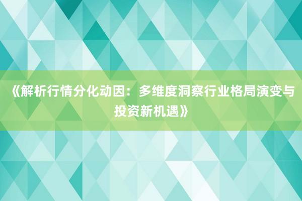 《解析行情分化动因：多维度洞察行业格局演变与投资新机遇》