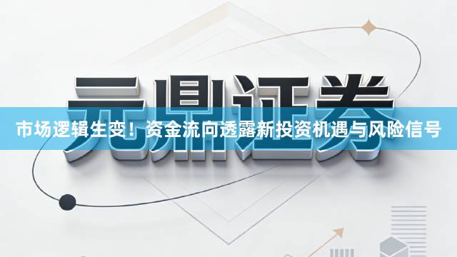 市场逻辑生变！资金流向透露新投资机遇与风险信号