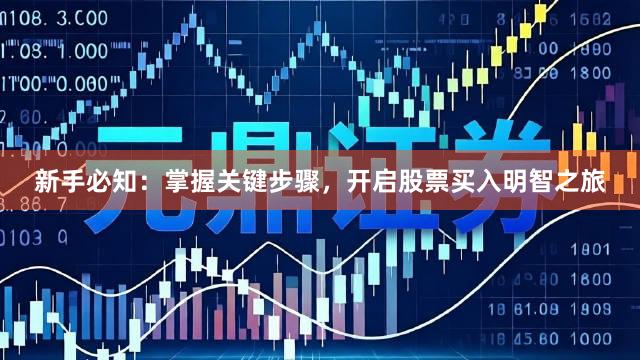 新手必知：掌握关键步骤，开启股票买入明智之旅