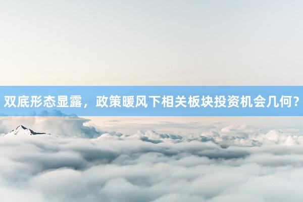 双底形态显露，政策暖风下相关板块投资机会几何？