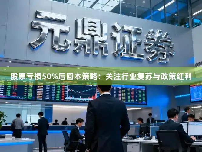 股票亏损50%后回本策略：关注行业复苏与政策红利