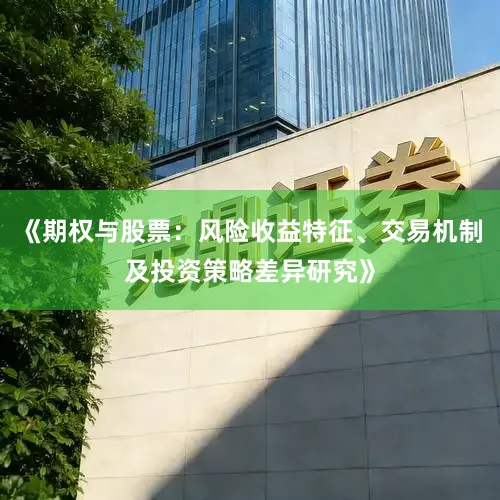 《期权与股票：风险收益特征、交易机制及投资策略差异研究》