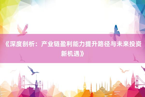《深度剖析：产业链盈利能力提升路径与未来投资新机遇》
