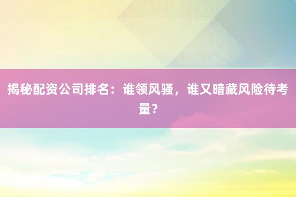 揭秘配资公司排名:谁领风骚,谁又暗藏风险待考量?